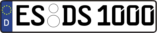 ES-DS1000