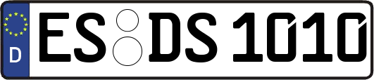ES-DS1010