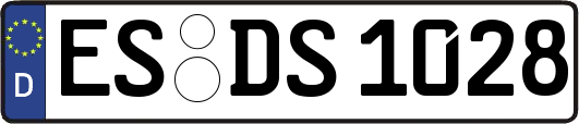 ES-DS1028