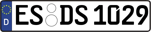 ES-DS1029