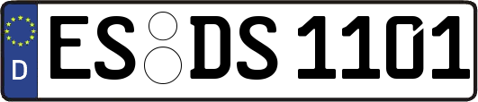 ES-DS1101