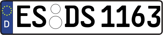ES-DS1163