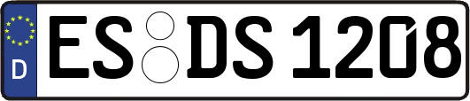 ES-DS1208