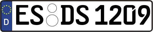 ES-DS1209