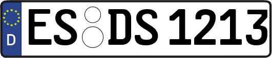 ES-DS1213