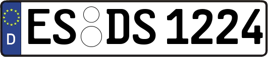 ES-DS1224