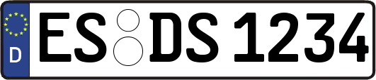 ES-DS1234