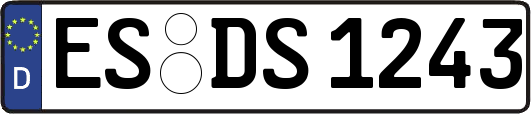 ES-DS1243