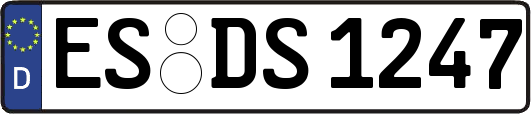 ES-DS1247