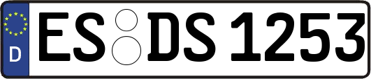 ES-DS1253