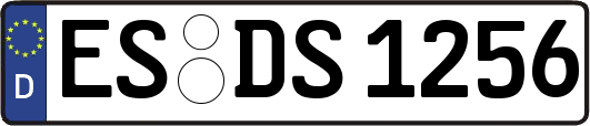 ES-DS1256
