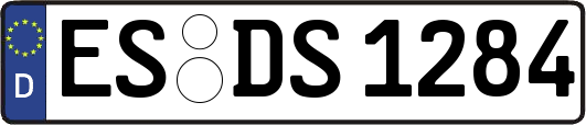 ES-DS1284