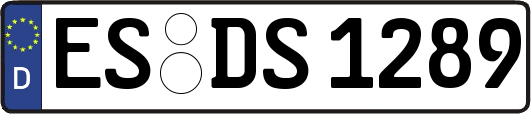 ES-DS1289
