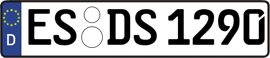 ES-DS1290