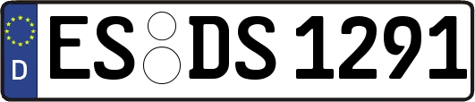ES-DS1291