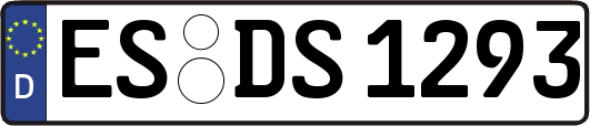 ES-DS1293