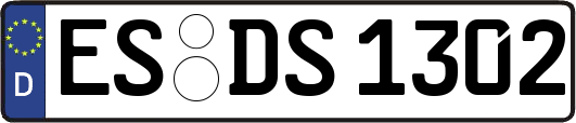 ES-DS1302