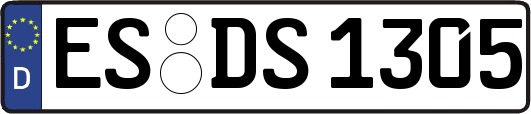 ES-DS1305