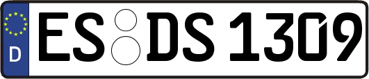 ES-DS1309