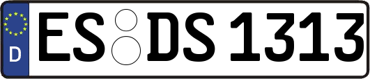 ES-DS1313