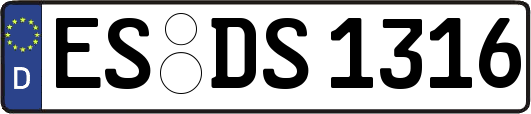 ES-DS1316