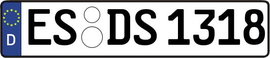 ES-DS1318