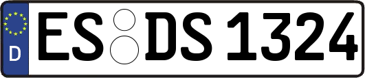 ES-DS1324