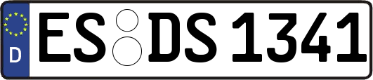 ES-DS1341
