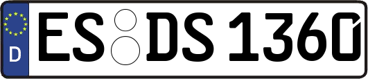 ES-DS1360