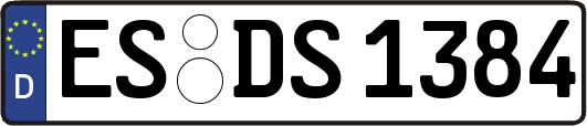 ES-DS1384