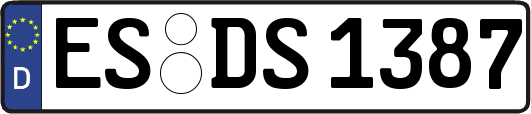 ES-DS1387