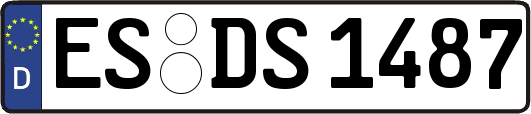 ES-DS1487
