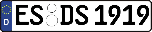 ES-DS1919