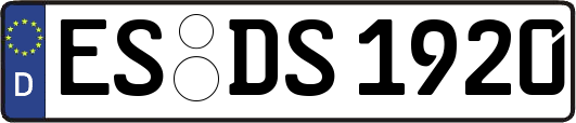 ES-DS1920
