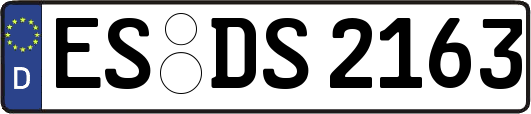 ES-DS2163