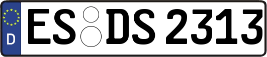 ES-DS2313
