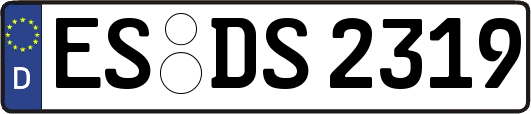 ES-DS2319