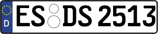 ES-DS2513