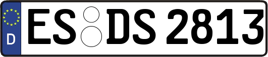 ES-DS2813