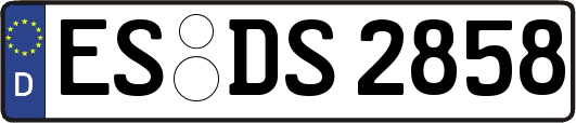 ES-DS2858