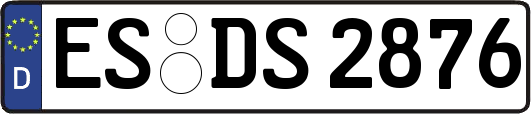 ES-DS2876