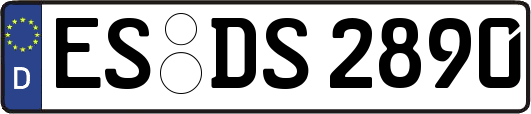 ES-DS2890