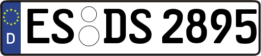 ES-DS2895