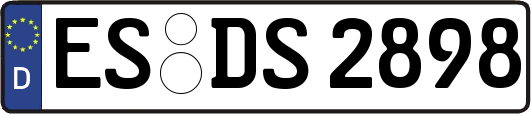 ES-DS2898