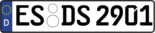 ES-DS2901