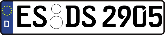 ES-DS2905