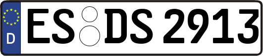 ES-DS2913