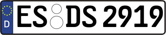 ES-DS2919