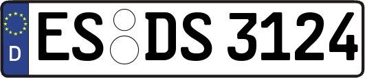 ES-DS3124