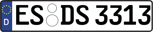 ES-DS3313